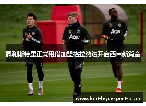 佩利斯特里正式租借加盟格拉纳达开启西甲新篇章 佩利斯特里正式租借加盟格拉纳达开启西甲新篇章